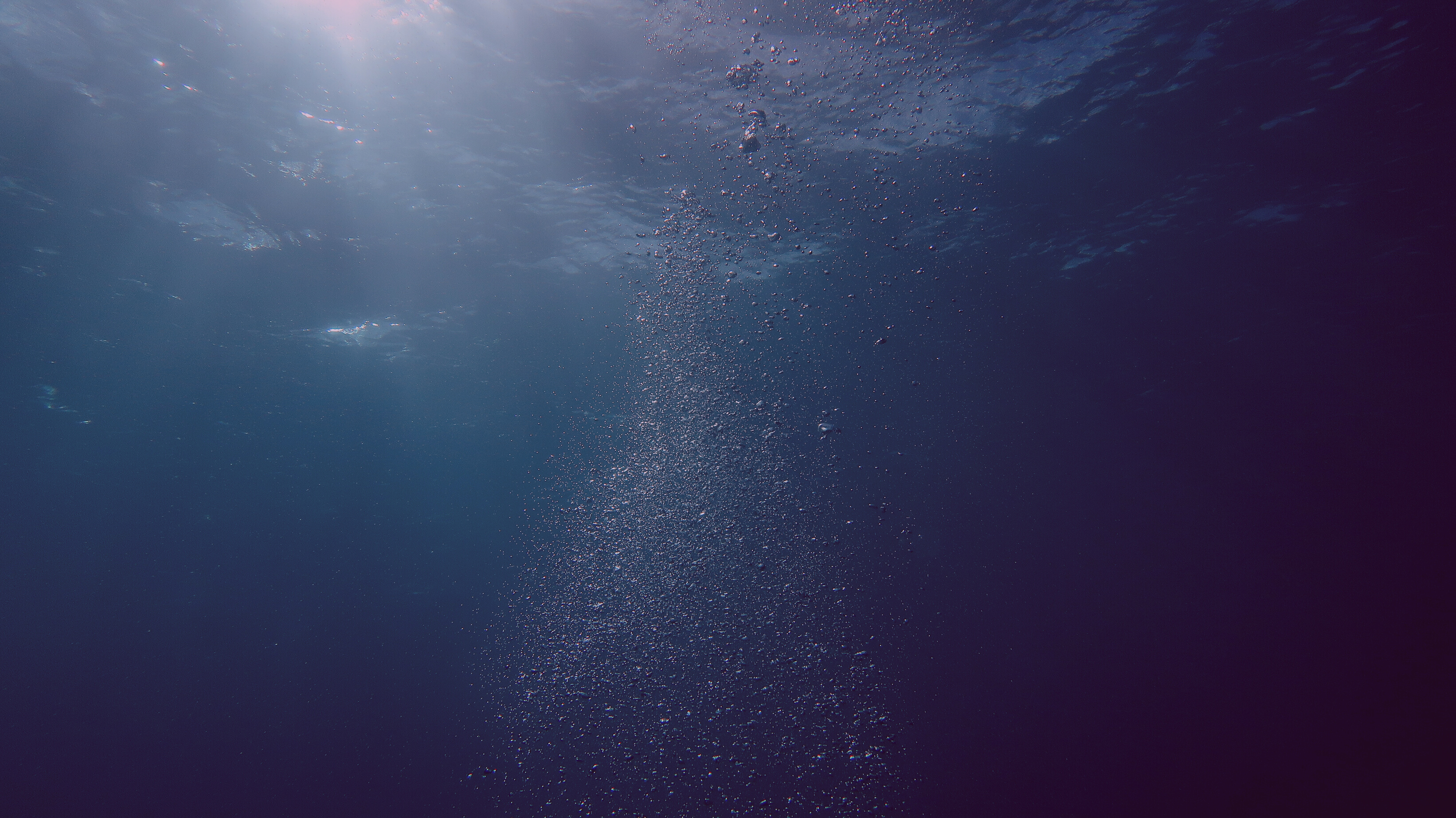 Photo of Bubbles Underwater